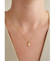 Kişiye Özel 925 Ayar Gümüş Minimalist Deniz Kabuğu Model Kolye (Gold)
