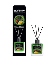 Blueberry Citrus & Spice Reed Diffuser 100 ml BBCN000722