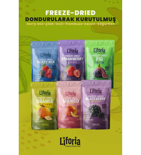 6’lı Dondurulmuş Meyve - Sağlıklı Atıştırmalık - Çilek Portakal İncir Mango Böğürtlen Berry Mix