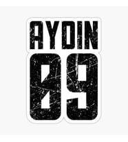 09 AYDIN Sticker Yapıştırma Oto Etiket 17cm