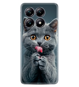 Xiaomi 14T Pro Kılıf Boutique Baskılı Resimli Komik Kedi Pcode -008