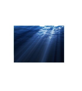 Kanki Pet KP8550007 Akvaryum Arka Fon Yapıştırma 85 x 50 CM