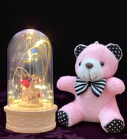 Premium Hediye Seti Led Işıklı Fanus ve Peluş Ayıcık Anahtarlık (Model 1)