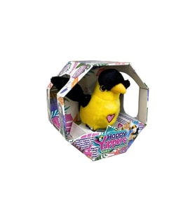Slap Bant Konuşan ve Taklit Eden Toucan