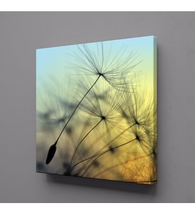 KARAHİNDİBA ÇİÇEĞİ RESMİ KANVAS TABLO 40x40cm (Karışık)