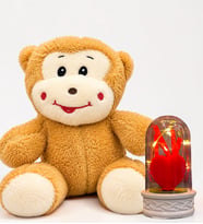 Sevimli Mutlu Peluş Maymun ve Led Işıklı Kırmızı Kalpli Fanus Hediye Seti