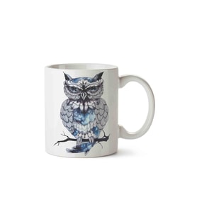 Baykuş Owl 2 Porselen Kupa Bardak