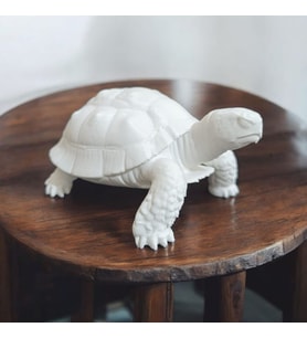 Kaplumbağa Biblo Heykel  3D Baskı  Masa Üstü Dekoratif Obje 10x10x8 cm (Pamuk Beyaz)