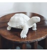 Kaplumbağa Biblo Heykel  3D Baskı  Masa Üstü Dekoratif Obje 10x10x8 cm (Pamuk Beyaz)