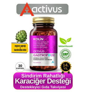 GASTROFOUR Detoks Bitkisel Karaciğer ve Sindirim Sistemi Takviye Edici Gıda Kolin Enginar