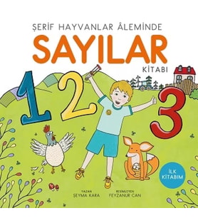 Sayılar