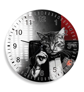 Kedi Cam Saat - 40 cm