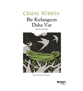 Bir Kırlangıcın Daha Var
