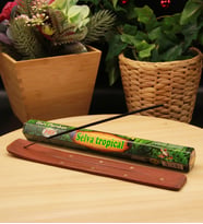 Tropical Orman Kokulu Tütsü ve Tütsü Kayığı (20 Çubuk) (Taba)