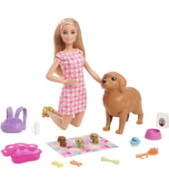 Barbie ve Yeni Doğan Köpekler Oyun Seti, 3 yaş ve üzeri, HCK75 (Çok Renkli)