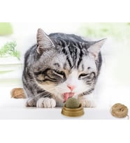 Kedi Otu Oyun Topu Cat Mint