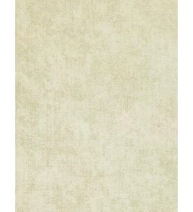 MAXWALL QUANTUM DUVAR KAĞIDI 3-001 (10m2)