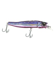 FatFish Challenger Forma Gloss 90 Purple Sardine