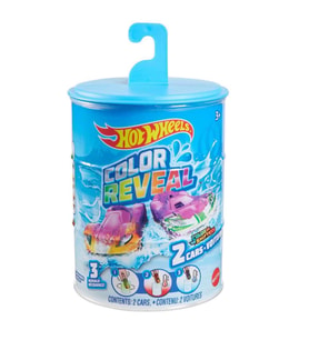Hot Wheels Color Reveal Renk Değiştiren Özel Araç