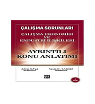 Çalışma Sorunları Çalışma Ekonomisi Ve Endüstri İlişkileri Ayrıntılı Konu Anlatım (Krem)