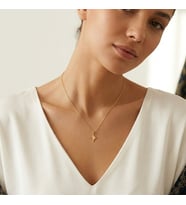 eJOYA 14 Ayar Altın Kutup Yıldızı Kolye 95093
