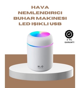 Usb Girişli Taşınabilir Mini Nemlendirici 300ml Su Hazneli