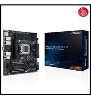 Asus Pro Ws B850m-ace Se, 4xddr5, 2xm.2, Hdmı, Dp, Type-c, D-sub, Pcıe 5.0, Am5 Soket Micro-atx Anak