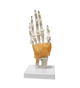 Omurga El Maketi Model 26