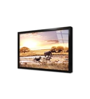 Safari Çerçeveli Cam Tablo
