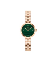 Daniel Wellington DW00600721 Rose Gold Çelik Kadın Kol Saati (Rose - Gold)