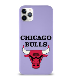 Apple iPhone 11 Pro Max  Lansman Kılıf Chicago Bulls Tasarımlı Altı Kapalı İçi Kadife Kaplı  Kapak (Şeffaf)