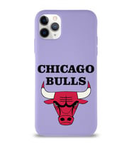 Apple iPhone 11 Pro Max  Lansman Kılıf Chicago Bulls Tasarımlı Altı Kapalı İçi Kadife Kaplı  Kapak (Şeffaf)