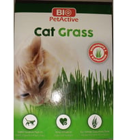 Bio Pet Active Grass Kit Naturel Kedi Çimi