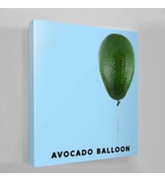 Avocado Balloon