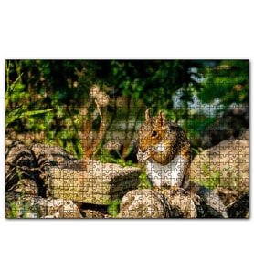 Cakapuzzle Taşların Üzerindeki Sevimli Küçük Sincap Puzzle Yapboz MDF (Ahşap) (120 Parça)
