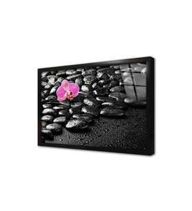 Spa Taşları ve Orkide Çerçeveli Cam Tablo