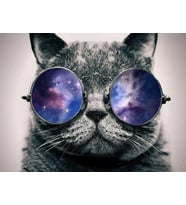 Cool Kedi Sayılarla Boyama Seti(40x50 cm Tuval Şasesine Gerili)