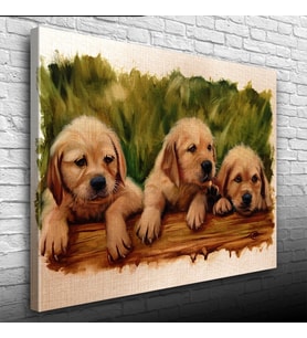 Şirin Yavru Köpekler Yağlıboya Kanvas Tablo 50 x 70
