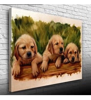Şirin Yavru Köpekler Yağlıboya Kanvas Tablo 50 x 70