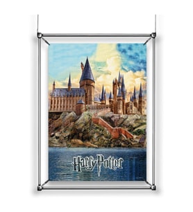 Harry Potter Lisanslı Poster Çerçevesiz