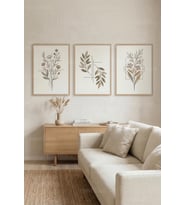 Minimalist Botanik Çizimler 3’lü Ahşap Çerçeveli Tablo Seti