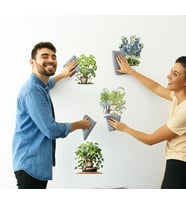 Tropikal Bitkiler Duvar Stickerı 8'li Set 30 cm PVC Malzeme Yapışkanlı