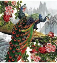 Tavuskuşu 30*40 cm PixArt Sanat Elmas Mozaik Tablo Diamond Türkiye 