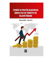Teorik ve Pratik Bakımdan Dünya'da ve Türkiye'de İslami Finans