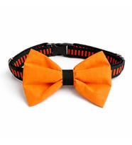 MS Pet Design Ayarlanabilir Kedi Köpek Papyonu