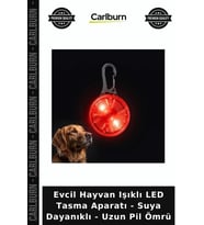 Özel Üretim Güvenlik Köpek Evcil Hayvan Işıklı LED Tasma Aparatı - Suya Dayanıklı - Uzun Pil Ömrü