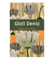 Gizli Deniz
