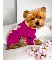 Foxie Polar Köpek Tulum Pijama (Fuşya)