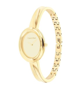 Calvin Klein CK25100056 Kadın Kol Saati