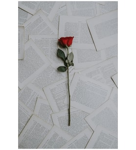 "Nostaljik Kitap Sayfaları Ve Kırmızı Gül Tasarımlı Mdf Tablo - Çerçevesiz Estetik Duvar Dekoru"